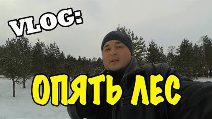 VLOG: ОПЯТЬ В ЛЕС