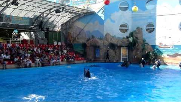 Одесский дельфинарий Немо / Odessa dolphinarium Nemo Одесский дельфинарий Немо / Odessa dolphinarium Nemo