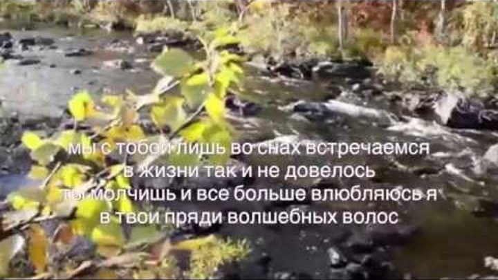 "встречи во снах" караоке музыка Олега Сапегина,слова Олега Танцюра "встречи во снах" караоке музыка Олега Сапегина,слова Олега Танцюра