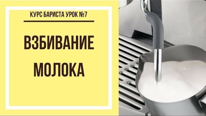 Взбивание молока | Курс бариста урок №7 Взбивание молока | Курс бариста урок №7