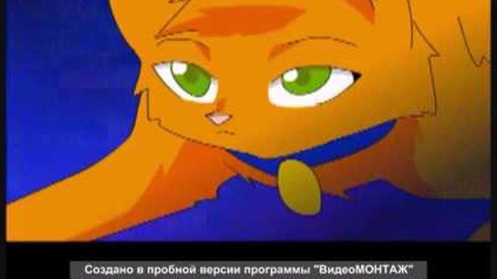 Коты-Воители. Огонёк. Мне нужен герой Коты-Воители. Огонёк. Мне нужен герой