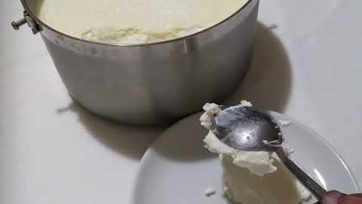 Yoğurt nasıl mayalanır - taş gibi kaşığı bırakmayan yoğurt yapımı