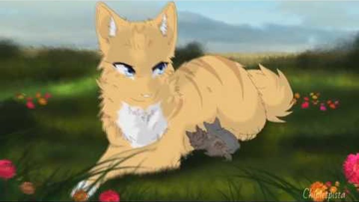 Коты Воители - Остролистая и Ветерок.(Hollyleaf and Breezepelt) Коты Воители - Остролистая и Ветерок.(Hollyleaf and Breezepelt)