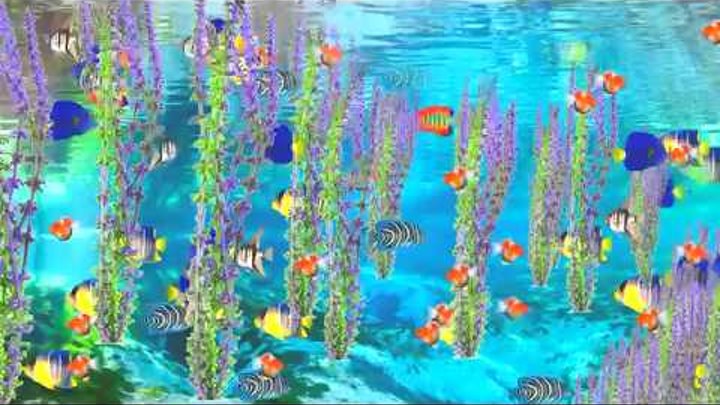 Футаж подводный мир красивые разноцветные рыбки подводные растения прозрачная голубая вода
