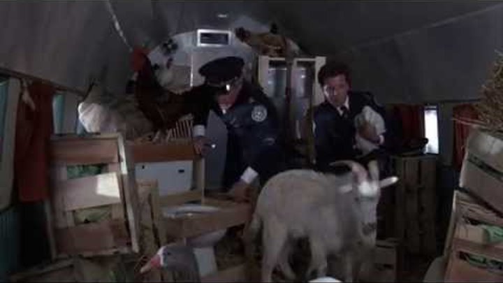 Полицейская академия 5: Место назначения – Майами Бич. ВИП-рейс Полицейская академия 5: Место назначения – Майами Бич. ВИП-рейс