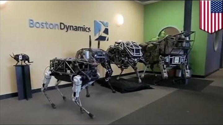 Google's robot dog: Boston Dynamics puts robot dog Spot through training day