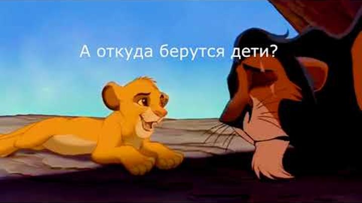 Король лев Шрам и Симба - Откуда берутся дети? Прикол Король лев Шрам и Симба - Откуда берутся дети? Прикол