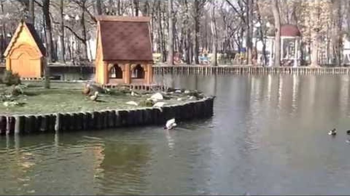харьков парк Горького ...озеро