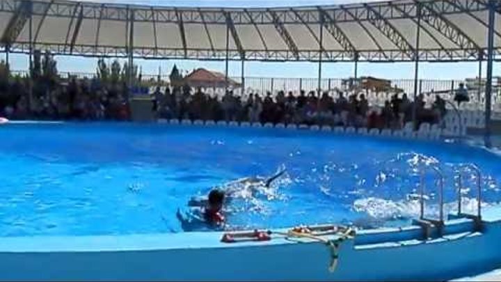 #Бердянск HD Дельфинарий Немо (катание на дельфинах) 9 видео #Бердянск HD Дельфинарий Немо (катание на дельфинах) 9 видео