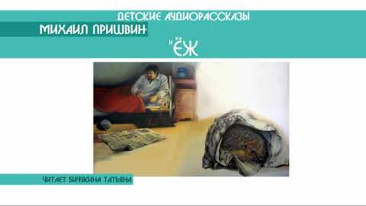 Михаил Пришвин "Ёж" - детский аудиорассказ: слушать онлайн Михаил Пришвин "Ёж" - детский аудиорассказ: слушать онлайн