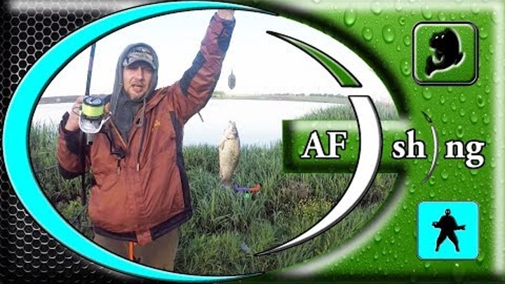 Рыбалка на КОЛХОЗНОМ водоёме с флет метод фидер