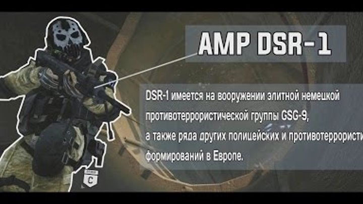 Warface - AMP DSR-1