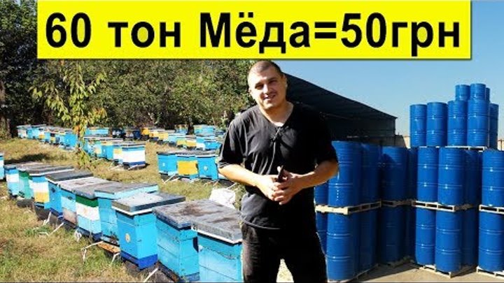 60 тон Мёда 🍯 за 50 грн/кг, состояние медового рынка ✅ Sale of honey in Ukraine for beekeepers