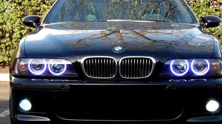 Projector39 Hella Type Multi-Color LED Angel Eyes Orion V2 Projector39 Hella Type Multi-Color LED Angel Eyes Orion V2