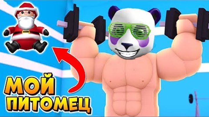 КАЧОК И ДЕД МОРОЗ 💪 РОБЛОКС СИМУЛЯТОР КАЧКА 🐼 Roblox Weight Lifting Simulator КАЧОК И ДЕД МОРОЗ 💪 РОБЛОКС СИМУЛЯТОР КАЧКА 🐼 Roblox Weight Lifting Simulator