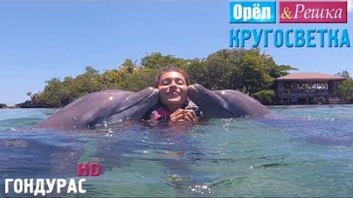 Орёл и Решка. Кругосветка - Гондурас (1080p HD) смотреть онлайн Орёл и Решка. Кругосветка - Гондурас (1080p HD)