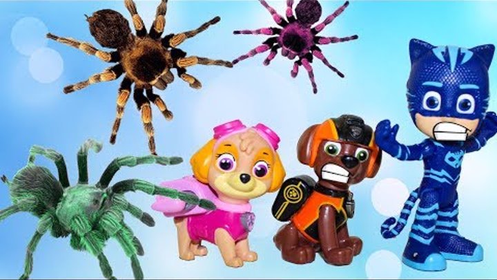 Щенячий патруль Гигантский паук напал Ромео Герои в масках Мультики для детей Мультфильмы Игрушки