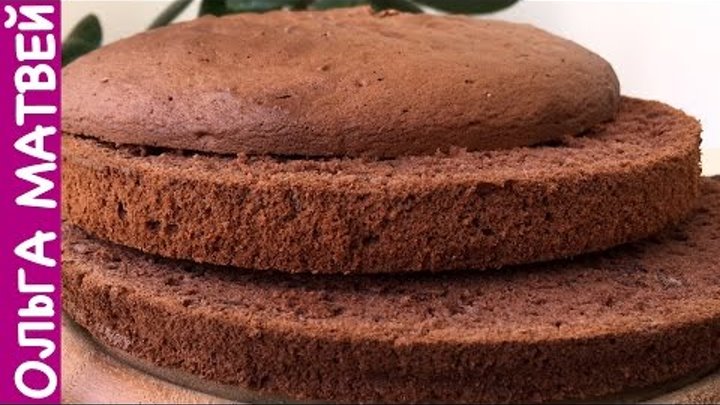 Шоколадный Бисквит (Секреты Приготовления) | Chocolate Sponge Cake Шоколадный Бисквит (Секреты Приготовления) | Chocolate Sponge Cake