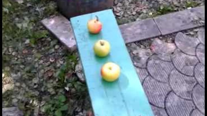 Прикол с яблоками