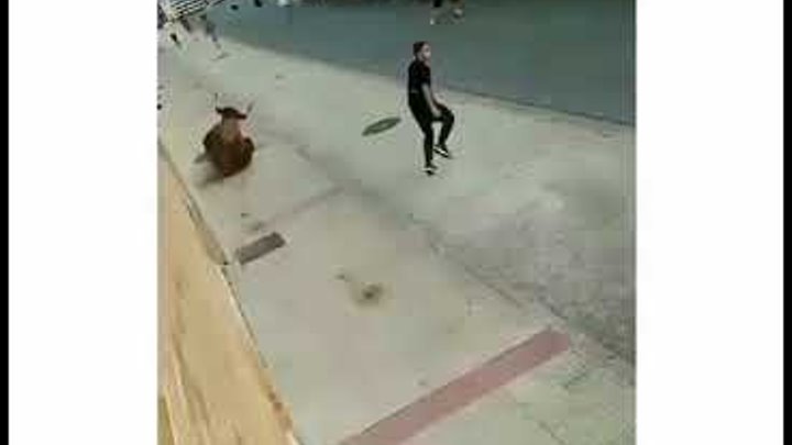 Вот это действительно везение Вот это действительно везение