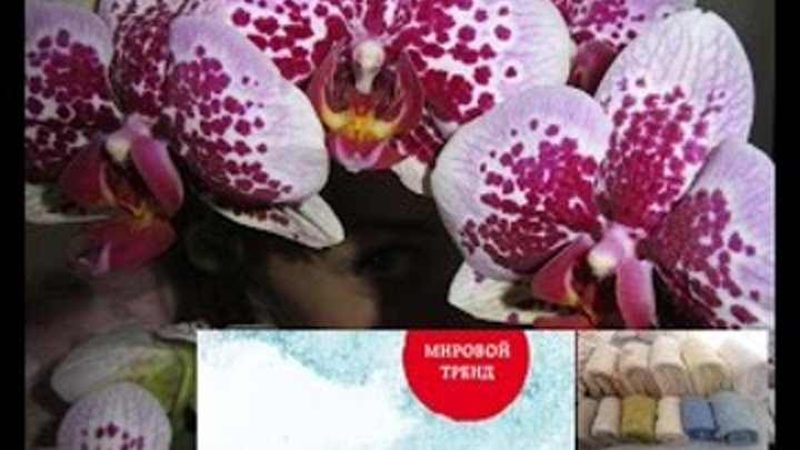 Магическая уборка от Мари Кондо. Мои впечатления! Магическая уборка от Мари Кондо. Мои впечатления!