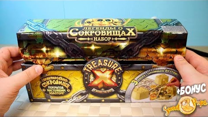 Treasure X Сундук Сокровищ Мега набор "В поисках сокровищ" Treasure X Сундук Сокровищ Мега набор "В поисках сокровищ"
