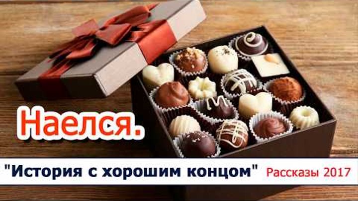 10 "Наелся" - христианские рассказы / диск "История с хорошим концом" Светлана Тимохина 10 "Наелся" - христианские рассказы / диск "История с хорошим концом" Светлана Тимохина