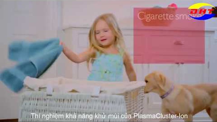 Hướng dẫn chọn mua máy lọc không khí Sharp chất lượng Hướng dẫn chọn mua máy lọc không khí Sharp chất lượng