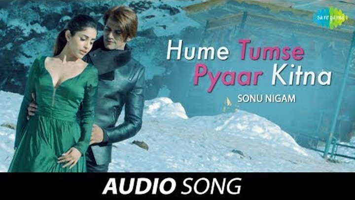 Hume Tumse Pyaar Kitna | Audio | हमें तुम से प्यार कितना | Sonu Nigam |Karanvir Bohra|Priya Banerjee