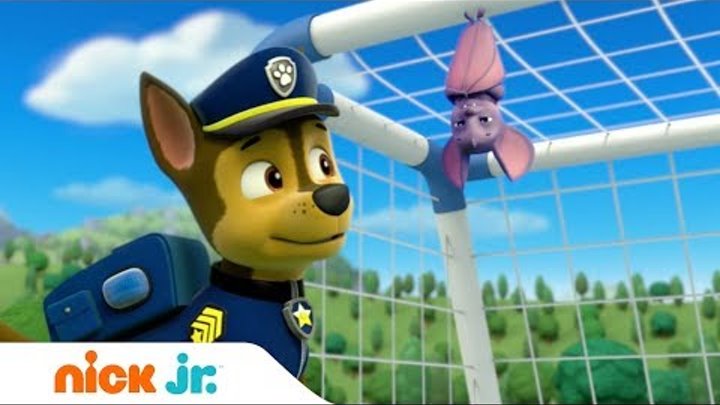 Щенячий патруль | Лучшее | Хороший спортсмен | Nick Jr. Россия Щенячий патруль | Лучшее | Хороший спортсмен | Nick Jr. Россия