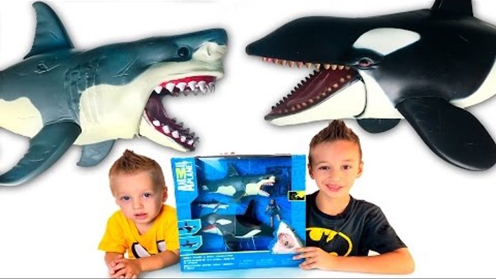 Игрушки для детей Игра Касатка и Акула Видео для детей Family fan game Shark Animal Planet