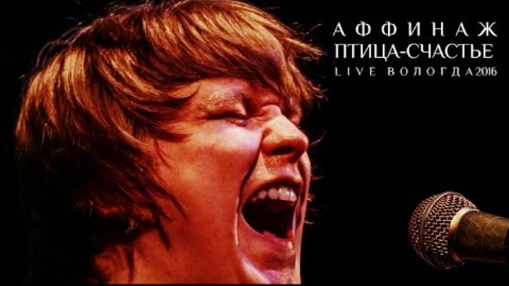 Аффинаж - Птица-Счастье (LIVE) смотреть онлайн Аффинаж - Птица-Счастье (LIVE)
