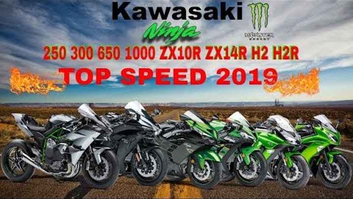 Kawasaki Ninja 250 300 650 1000 ZX10R ZX14R H2 H2R Top Speed 2019 Kawasaki Ninja 250 300 650 1000 ZX10R ZX14R H2 H2R Top Speed 2019