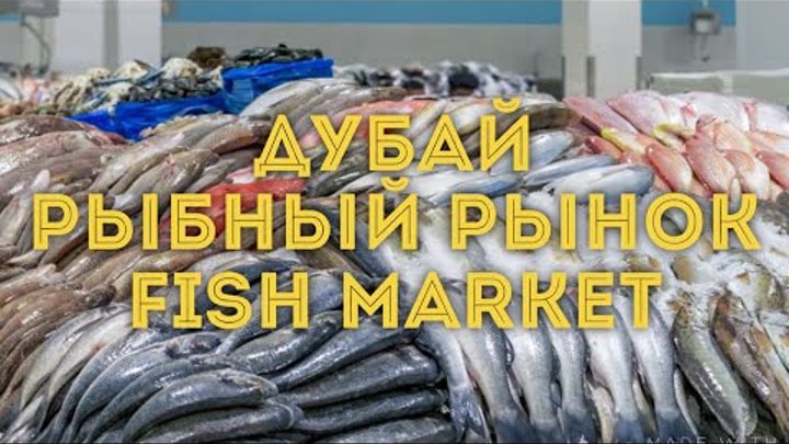 VLOG: Дубай/Рыбный рынок переехал/Как выглядит новый рыбный рынок и где находится VLOG: Дубай/Рыбный рынок переехал/Как выглядит новый рыбный рынок и где находится