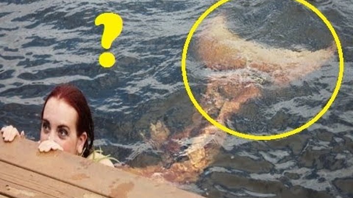 Real Life Mermaids Caught on Tape June 2016 | Must See! Caught On Camera - Don't Miss!