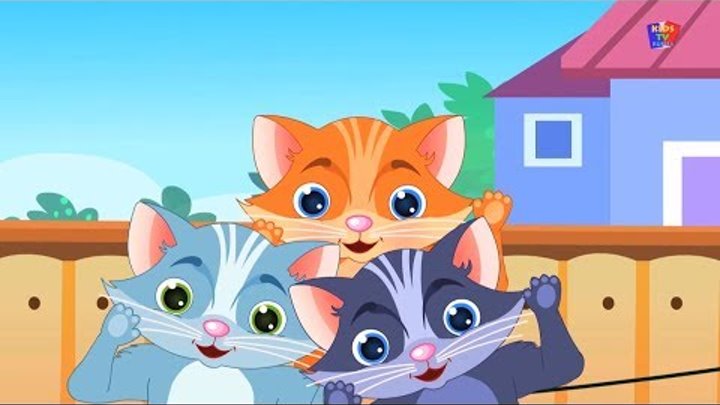 Три маленькие котята | Популярные детские стихи для детей