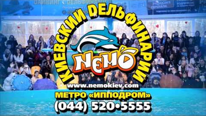 Киевский дельфинарий "Немо" приглашает на новогодние представления Киевский дельфинарий "Немо" приглашает на новогодние представления