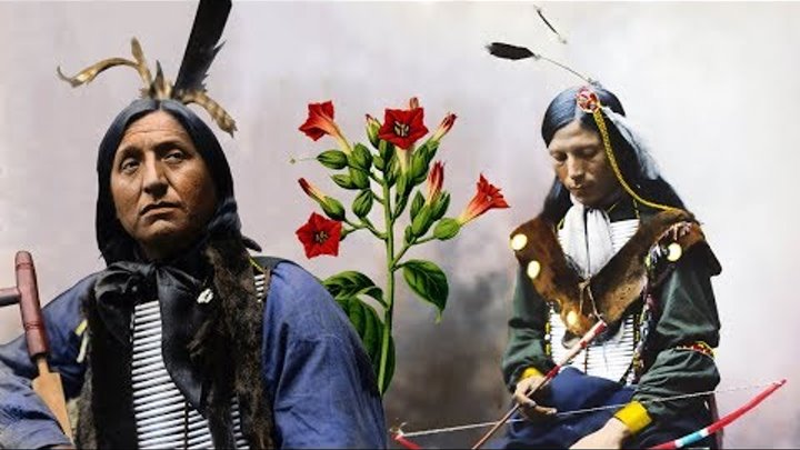 История табакокурения у индейцев Северной Америки и биомолекулярная археология
