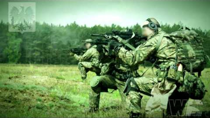 Polish Army - Strength & Honor Polish Army - Strength & Honor