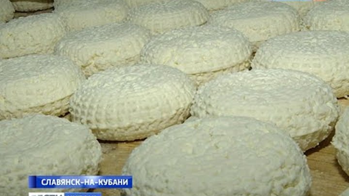 Кубанские сыроделы осваивают производство элитных сортов сыра