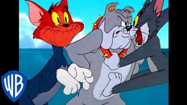 Tom y Jerry en Latino | Los gritos de Tom | WB Kids