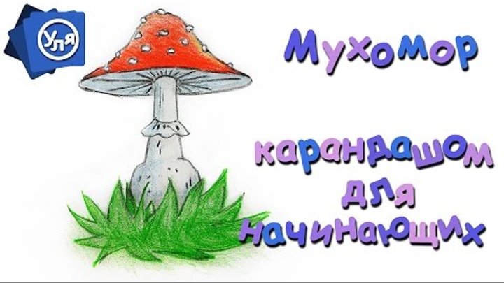 Рисунки карандашом Грибы Мухоморы // Рисунки поэтапно Рисунки карандашом Грибы Мухоморы // Рисунки поэтапно