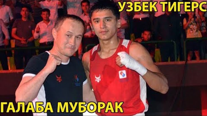 УЗБЕК ТИГЕРС ЯНА БИР ГАЛАБАНИ КУЛГА КИРИДИ | ГАЛАБА МУБОРАК УЗБЕК ТИГЕРС ЯНА БИР ГАЛАБАНИ КУЛГА КИРИДИ | ГАЛАБА МУБОРАК