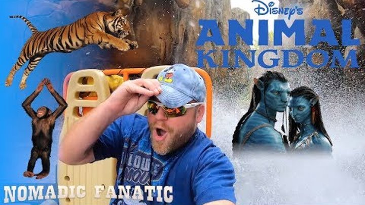 Animal Kingdom ~ Avatar, Wild Animals & Rides ~ Christmas in Disney World