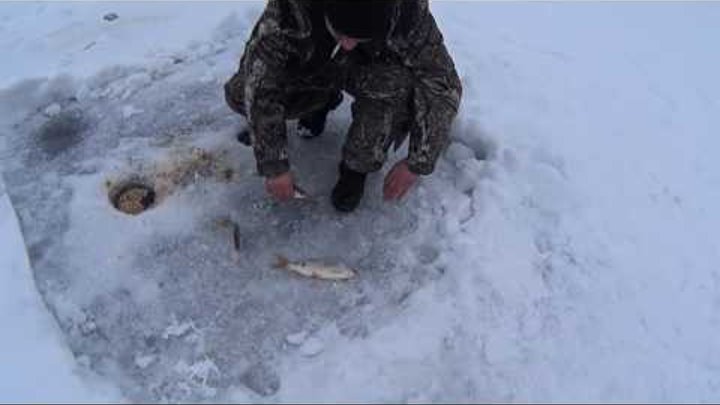 Красноярское море февраль 2016г! зимняя рыбалка в БД