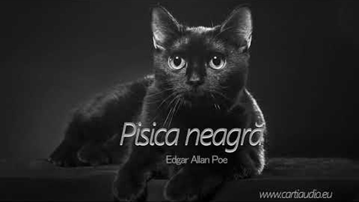 Edgar Allan Poe - Pisica neagra
