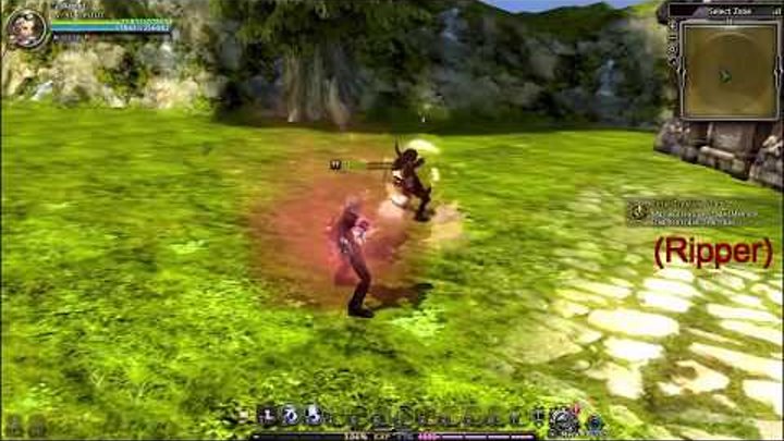 Dragon Nest lvl 90 Ex Skills All Class Dragon Nest lvl 90 Ex Skills All Class