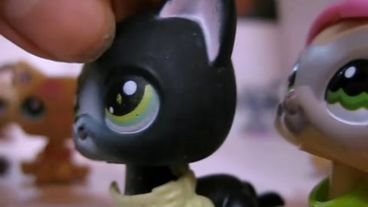 Littlest Pet Shop(LPS)Ты больше не одна...1 сезон 1 серия"Не трогай её!"