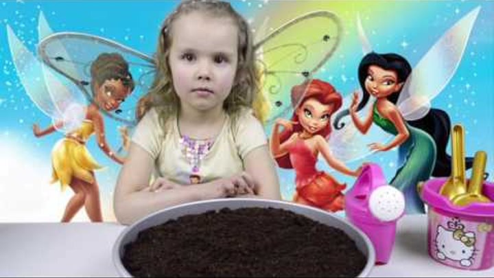 Fairies garden & House. Сад и домик для фей. Fairies garden & House. Сад и домик для фей.