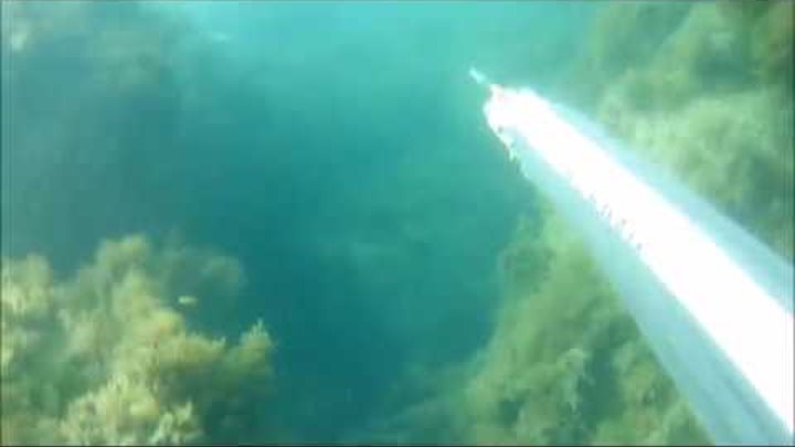 Чёрном море подводная охота .Техно рельеф.